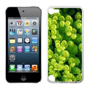 ipod 5 custom cases